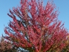 P1010439.JPG